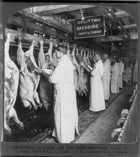 Image showing the conditions meat packing companies of the 1840s. Two White men are splitting the backbones of a row of pigs.